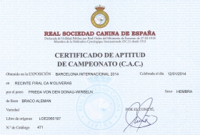 Certificado De Actitud De Campeonato C.A.C Internacional 2014 